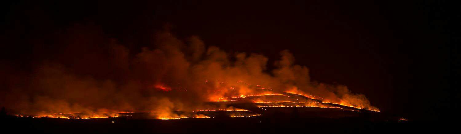 2017 “falasgair” Borbh  this web-site may not  "fraoch teine" ...put the heather on fire...but I know someone that can!